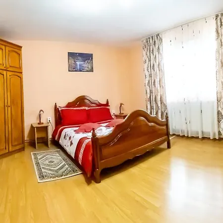 Casa Ionela Homestay *