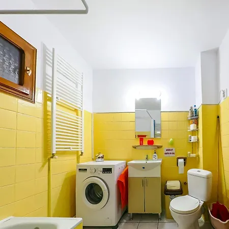 Homestay Casa Ionela