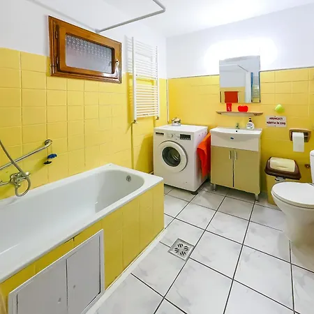Homestay Casa Ionela
