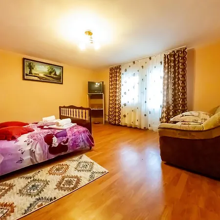 Casa Ionela Homestay Campulung Moldovenesc